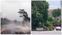 У Рівному вітер звалив дерево на дорогу, а по області буревій знеструмив 10 населених пунктів (ФОТО)