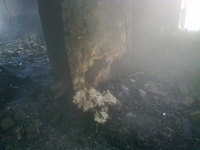 Оселя згоріла вщент: на Рівненщині у пожежі загинув чоловік (ФОТО)