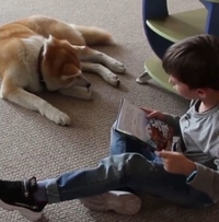 Собака Кіміко у бібліотеці вчить дітей читати (ВІДЕО)