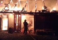 У селі на Рівненщині під час пожежі згорів урожай (ФОТО)