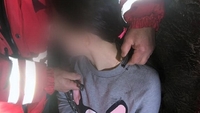 Небезпечні ігри: у Києві рятували дівчину, на яку надягнули металевий нашийник (ФОТО)