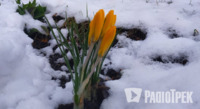 Буде і сніг, і штормовий вітер: зиму у квітні «принесе» в Україну новий циклон 