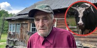 82-річний дід Максим живе сам у лісі: слухає радіо Білорусі і тримає 11 корів та понад 100 вуликів (ФОТО/ВІДЕО)