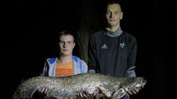 Біля Рівного рибалки спіймали 12-кілограмового сома (ФОТО)