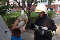 У Рівному рятувальники провели спецоперацію з котом (ФОТО)