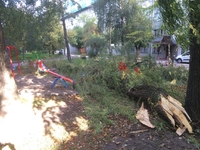 На Курчатова у Рівному дерево привалило дитячий майданчик (ФОТО)