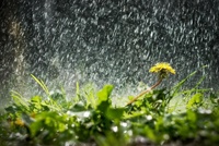 В Україну йдуть дощі з грозами: Коли чекати опадів