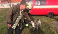На Рівненщині врятували козеня (ФОТО)
