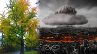 У Гощі та Рівному є дерева, які переживуть ядерний удар – вони не горять (ФОТО)
