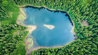 Через сильну посуху рекордно обміліло найбільше озеро Карпат: Як воно виглядає зараз (ФОТО)