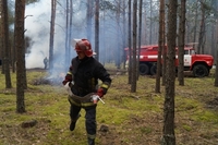 Рятувальники вчилися гасити пожежу в лісі (ФОТО)