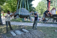 У сквер на Рівненщині поселили чималу черепаху