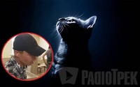 На Полтавщині молодого чоловіка підозрюють у ґвалтуванні... кошеняти. Тварина скалічена (ВІДЕО)