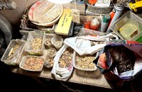 Зберігав у лотках і пакетах: На Рівненщині у чоловіка знайшли майже 20 кг бурштину (ФОТО)