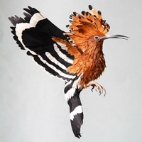 Колумбійка пожила у Фінляндії, тепер створює неймовірно реалістичних птахів із паперу (11 ФОТО)