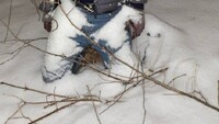 Тіло вже покрилось снігом: у Дніпрі знайшли повішеним нацгвардійця (ФОТО 18+)