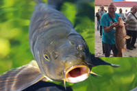 «Клюнула на руку»: зловити рибу чоловікові допомогло затоплення  (ВІДЕО)