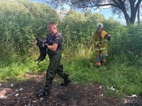 Рівненські рятувальники витягли песика з болота