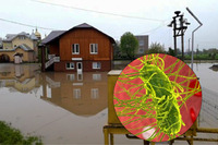 Затоплення в Україні можуть спричинити спалах інфекційних захворювань (ВІДЕО)