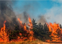 На Рівненщині не спадає надзвичайний рівень пожежної небезпеки