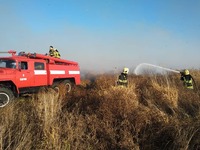 Продовжують нищити все довкола: на Рівненщині підпалили поля з кукурудзою (ФОТО)