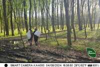 Фотопастки у лісах Рівненщини зафіксували перших порушників порядку (ФОТО)