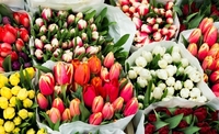 Змізерніли мужики, або Як букет квітів до 8 березня у Києві продають за ціною квартири 