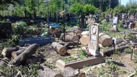 Кладовище поблизу Рівного «поховали» під колодами
