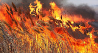 «Гарячий» сезон: на Рівненщині прогнозують початок пожежонебезпечного періоду (ФОТО)