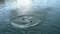 Фатальне купання: в Горині у Рівненському районі потонув чоловік