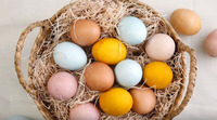 Ідеї до Великодня: натуральні фарбники для яєць (ВІДЕО)