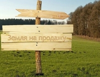 Почім в Україні продаватимуть землю? Встановлено ціну гектара
