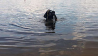 В озері біля Рівного потонув чоловік