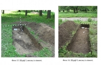 Розкопки палацу Любомирських: оприлюднили результати археологічної експертизи