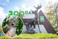 Зоопарк у Рівному шукає нових господарів тваринам