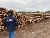2 приватних будинки могли з’явитися на Рівненщині… Але крадену деревину вилучили (ФОТО)