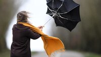 Синоптики попередили про негоду: сильний вітер та ожеледиця прогнозують на Рівненщині