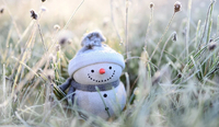 Нічні морози та невеликий сніг прогнозують в Україні