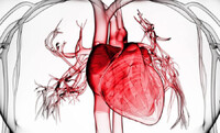 Між чоловічим і жіночим інфарктом є різниця, і кардіологи розповіли, яка саме