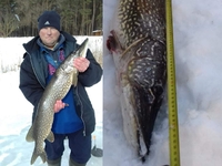 Зимова риболовля: метрову щуку спіймав Андрій Кокота на Рівненщині (ФОТО)