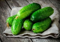 ДІМ і САД: 10 порад, щоб огірки виросли смачними