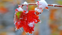 У Черкасах падав перший сніг. Коли зимових опадів чекати на Рівненщині?