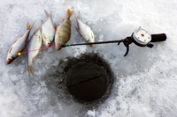 Коли у лютому вирушати на риболовлю: календар рибалки
