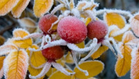 Зима прийде рано: Кліматологиня розповіла, коли чекати морозів  