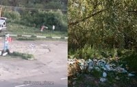 Мешканці ОТГ, які не хочуть приєднуватися до Рівного, викидають сміття під кущі на Боярці в м. Рівне (ВІДЕО)
