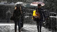Ожеледиця, сніг та туман: на Рівненщині прогнозують небезпечну погоду 