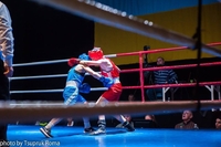 Чемпіонат України з боксу серед жінок у Рівному виходить на фінішну пряму 