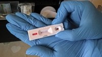 Новий вид тестів на коронавірус незабаром буде на Рівненщині 