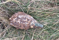 У лузі в Острозькому районі знайшли ручну гранату