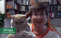Синоптик Наталка Діденко показала, де «хропундякає» її легендарний кіт Апельмон (ФОТО/ВІДЕО)